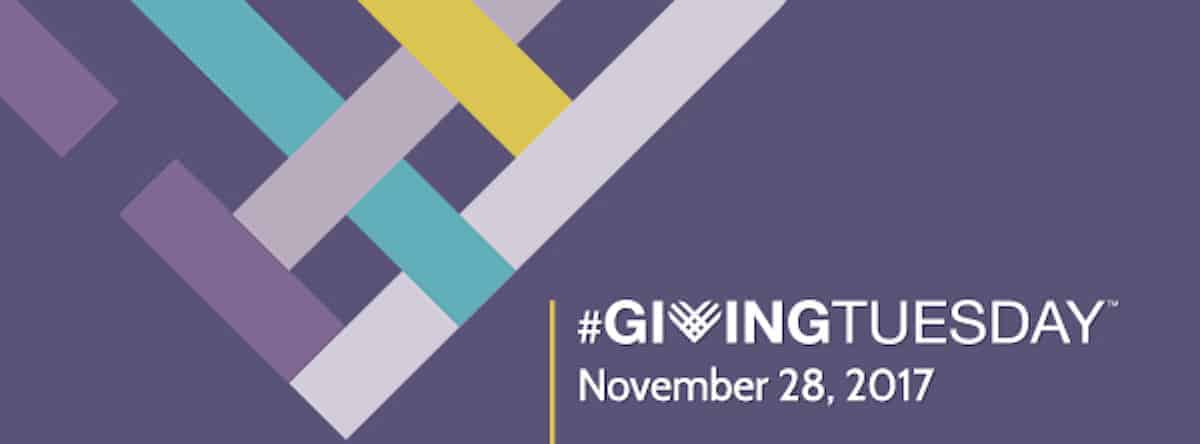 Swe’s #givingtuesday Campaign Features Lisa Rimpf And Life Membership