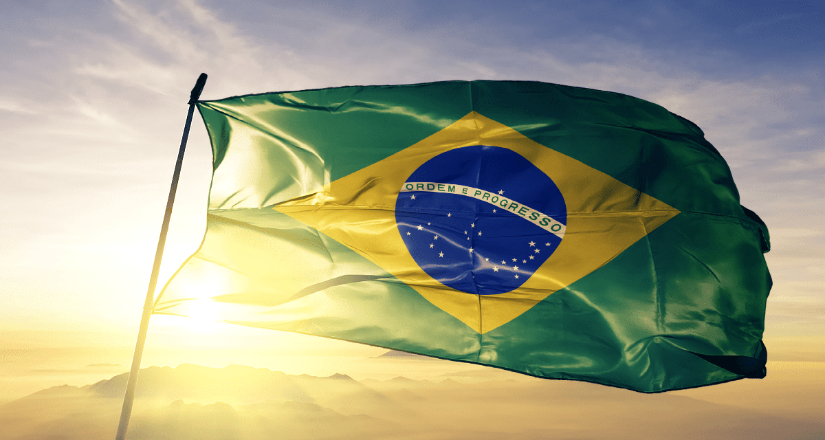 INWED 2019: Transforming the Future from Brazil - Marina Gessinger, Brazil