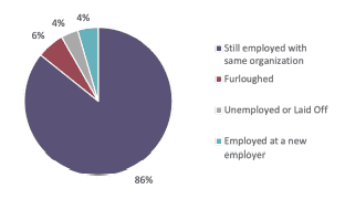 survey on employment status
