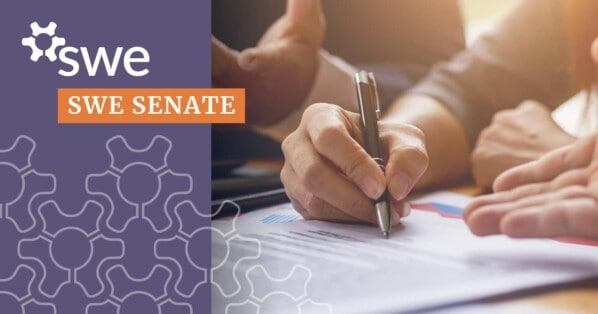 Swe Senate Series: Get To Know The Rise Sub-team